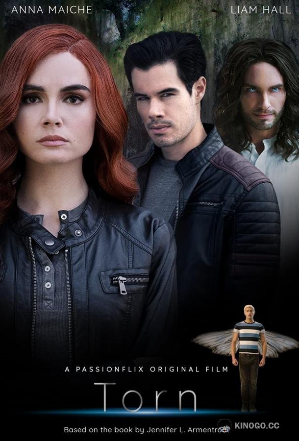 Разорванный: Злая трилогия Torn: A Wicked Trilogy (2022)