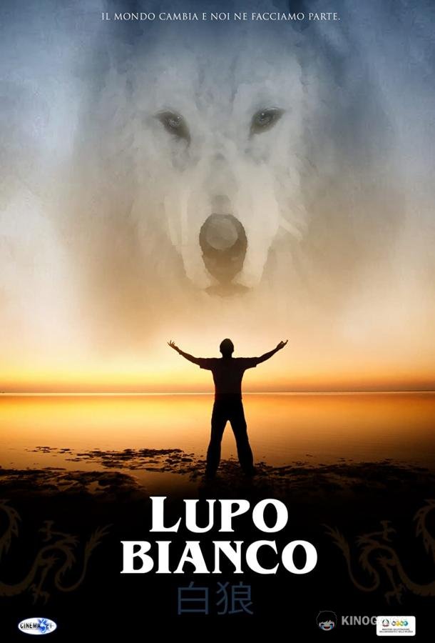Белый волк Lupo Bianco (2021)