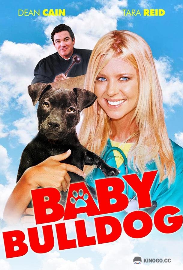 Малыш бульдог Baby Bulldog (2020)