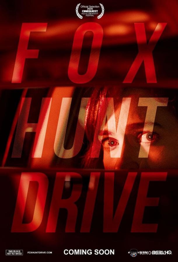 В опасности Fox Hunt Drive (2020)