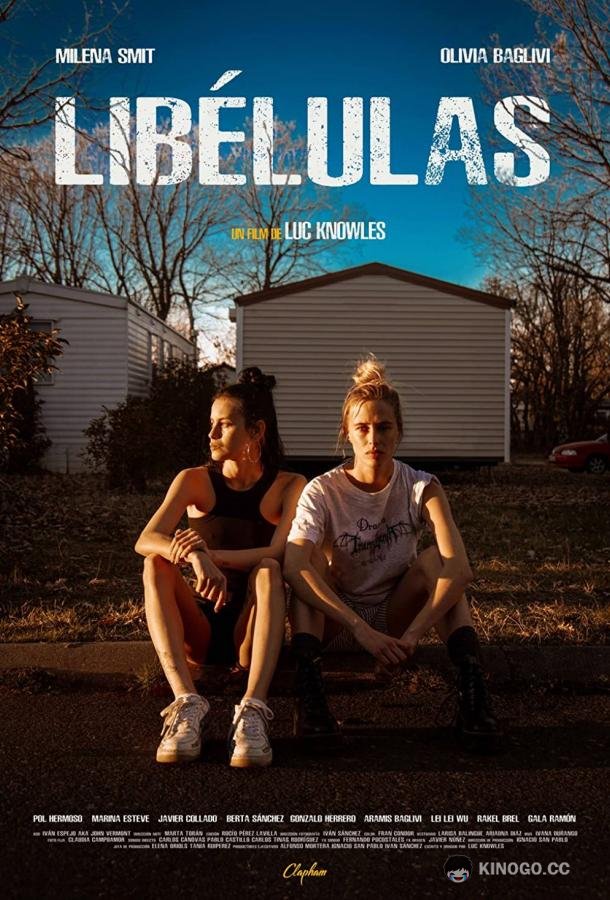 Стрекозы Libélulas (2022)