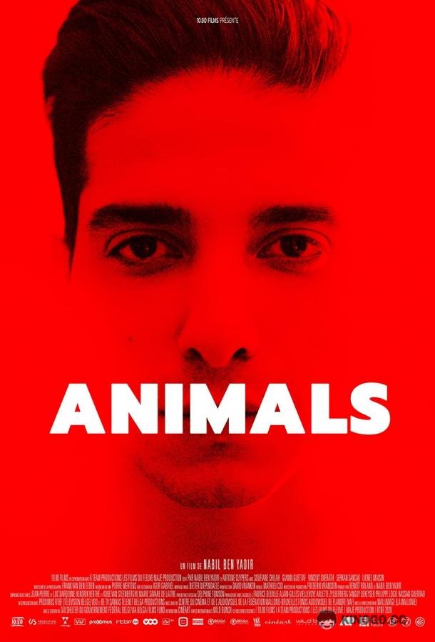 Животные Animals (2021)