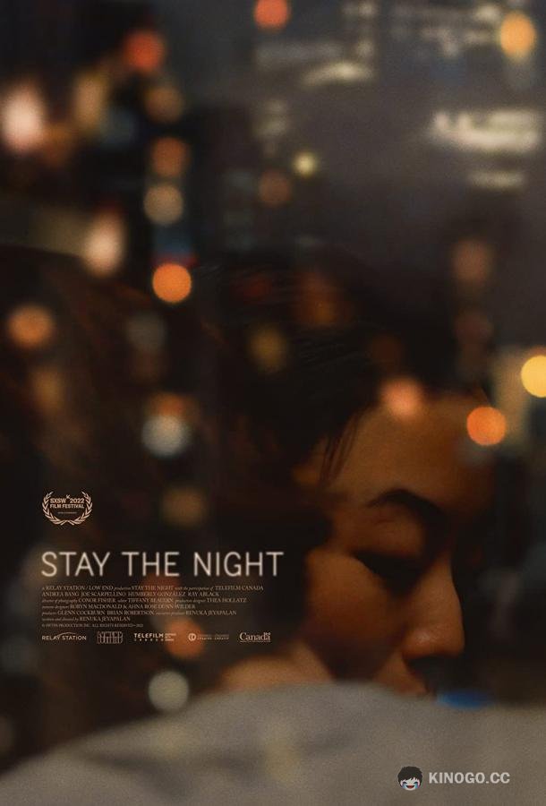 Роман на одну ночь Stay the Night (2022)