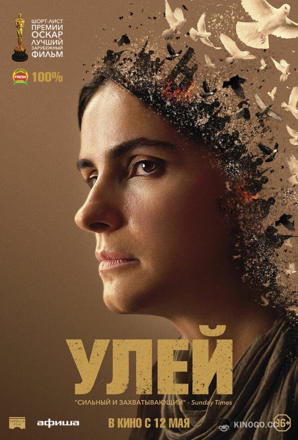 Улей Hive (2021)