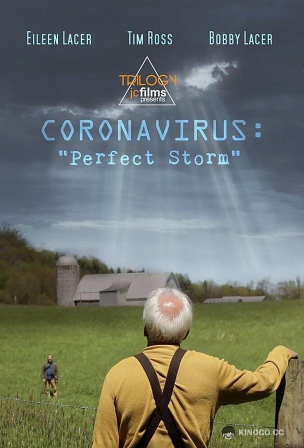 Коронавирус: Идеальный шторм Coronavirus: Perfect Storm (2020)