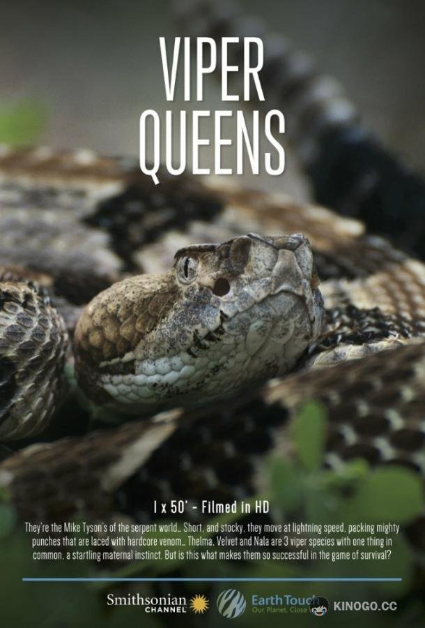 Королевы гадюк Viper Queens (2016)