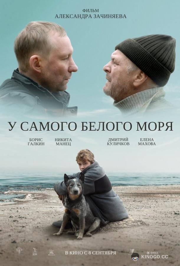 У самого Белого моря  (2022)