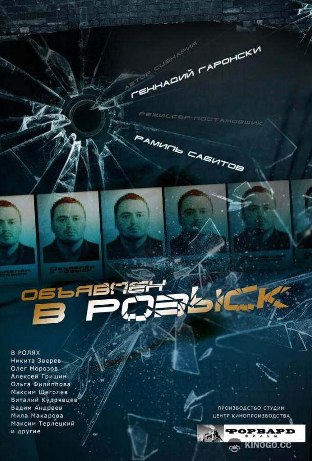 Объявлен в розыск  (2010)