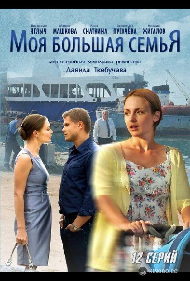 Моя большая семья  (2012)