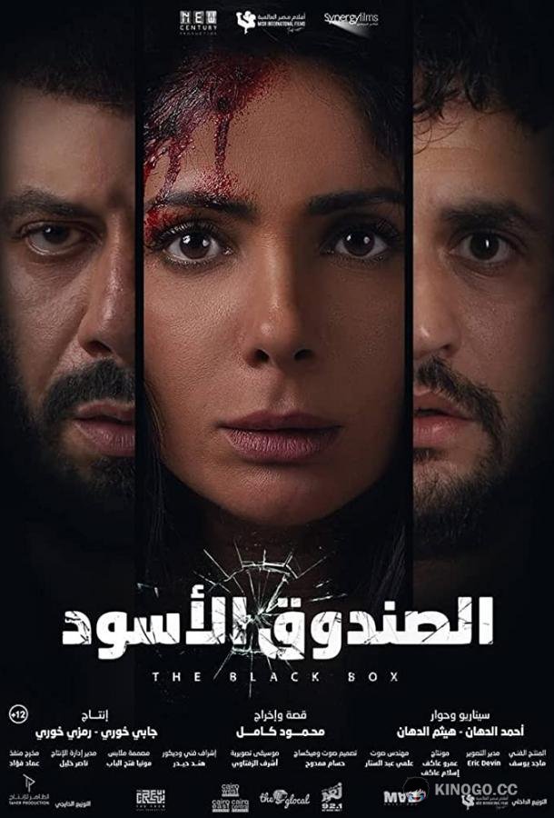 Черная коробка The Black Box (2020)