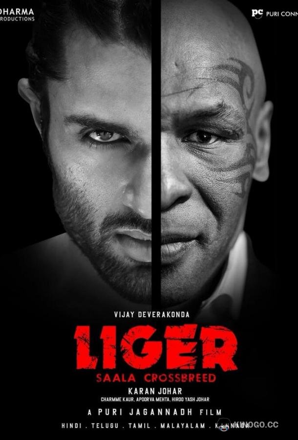 Лигр Liger (2022)