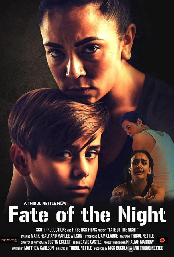Судьбоносная ночь Fate of the Night (2022)
