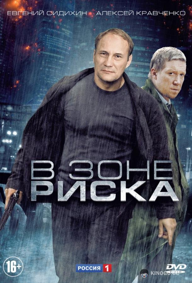 В зоне риска  (2012)
