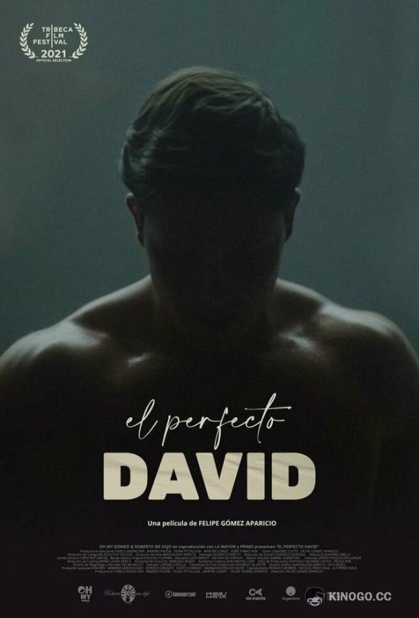 Идеальный Давид El perfecto David (2021)