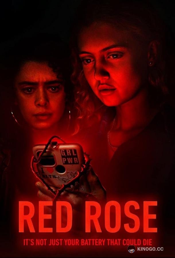 Красная роза Red Rose (2022)