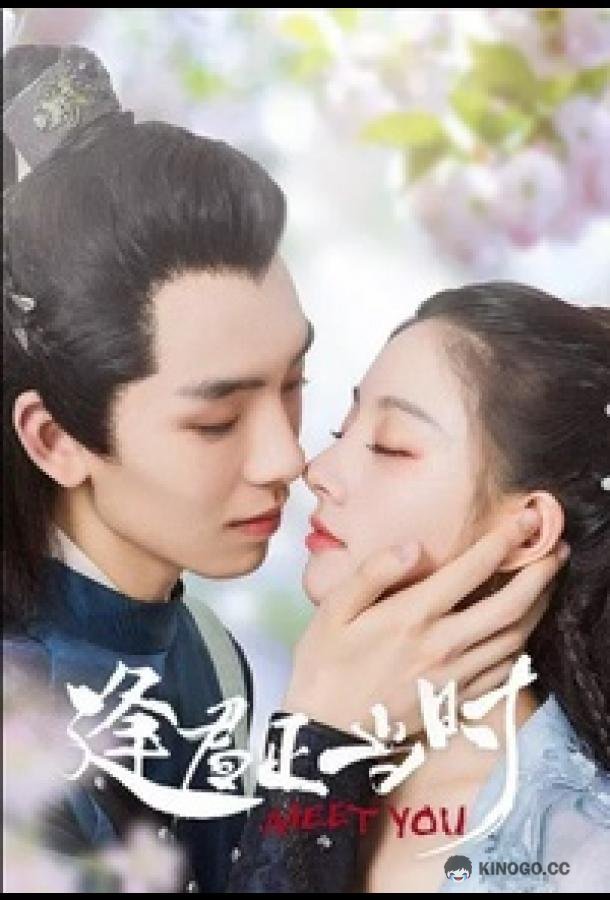 Встретить тебя Feng Jun Zheng Dang Shi / Meet You (2021)