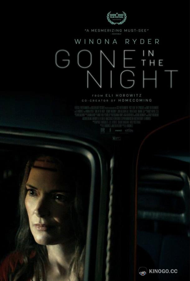 Пропавшие в ночи Gone in the Night (2022)
