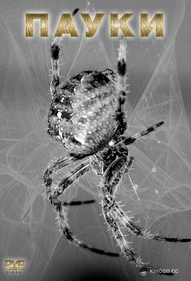 Пауки Spiders (2000)
