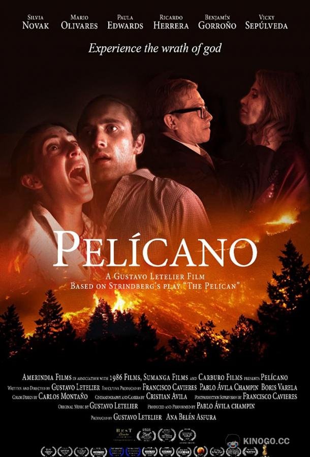 Пеликан Pelícano (2019)