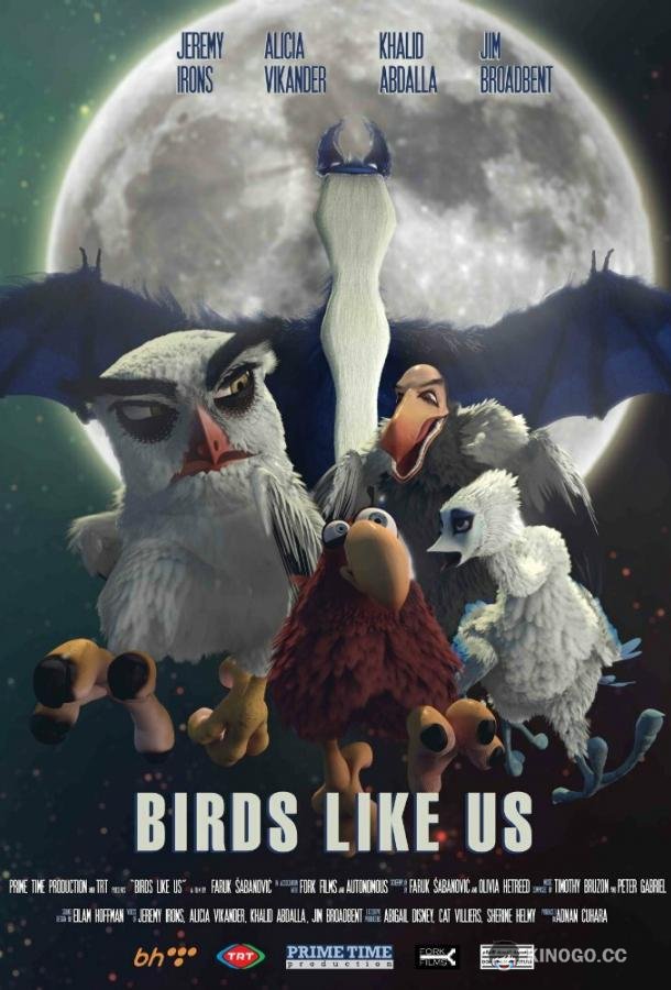 Птицы, как мы Birds Like Us (2017)