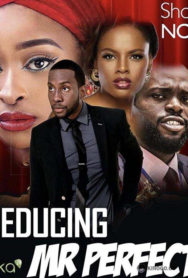 Соблазнить мистера Совершенство Seducing Mr. Perfect (2019)