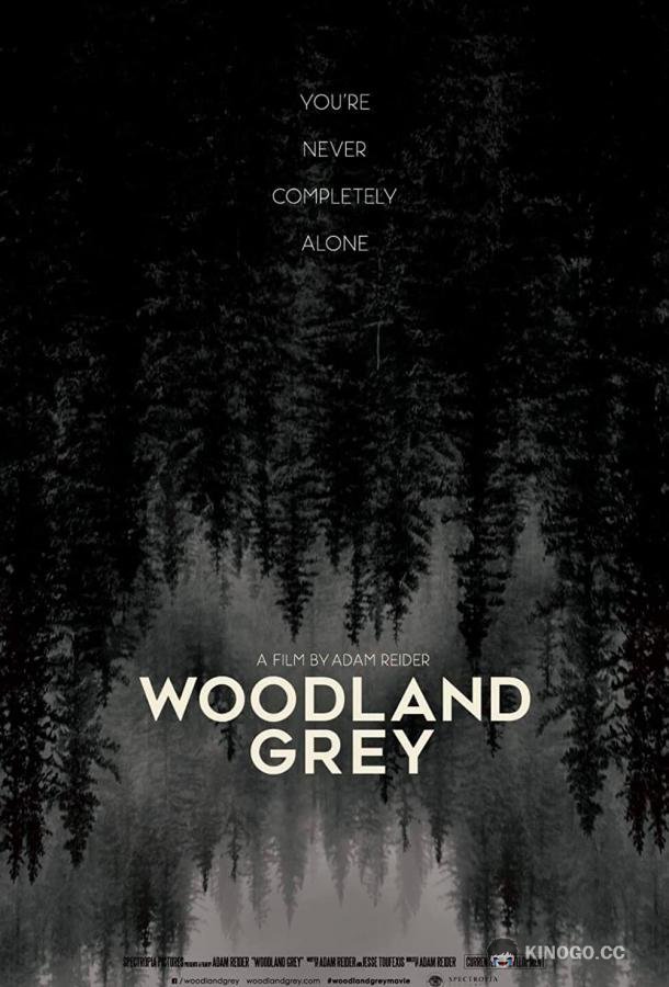 Серый лес Woodland Grey (2022)