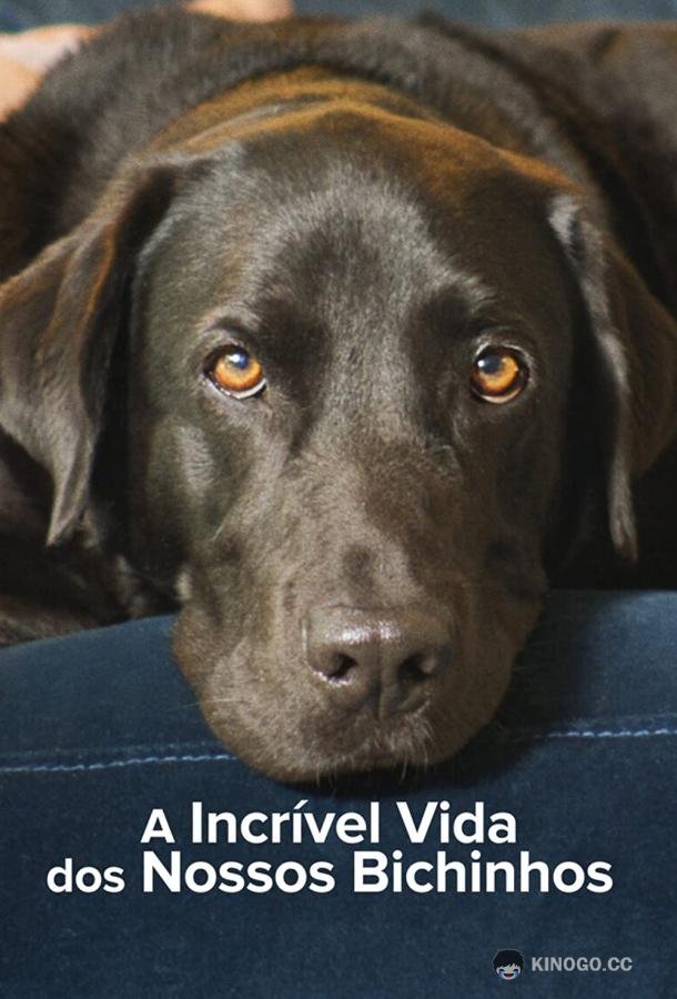 Тайная жизнь питомцев The Hidden Lives of Pets (2022)