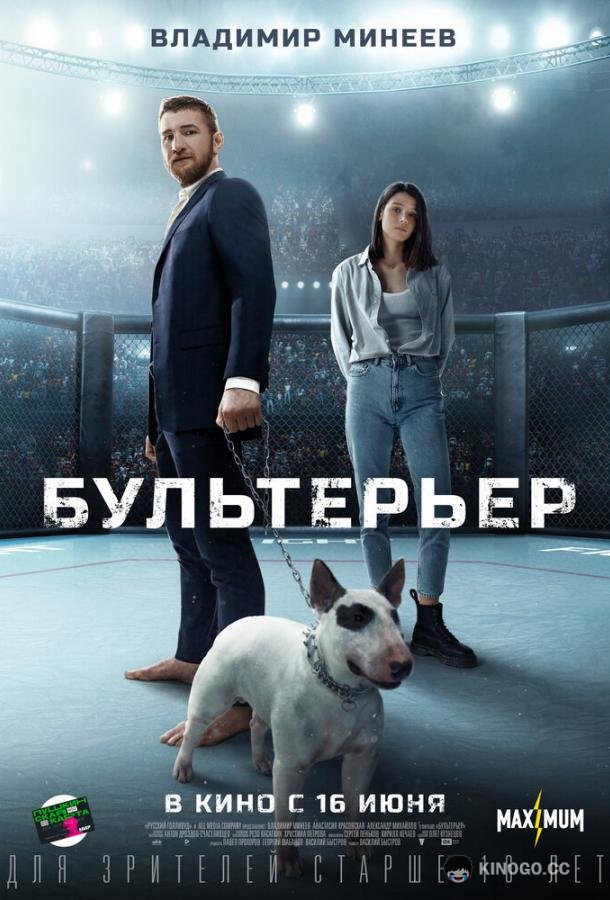 Бультерьер  (2021)