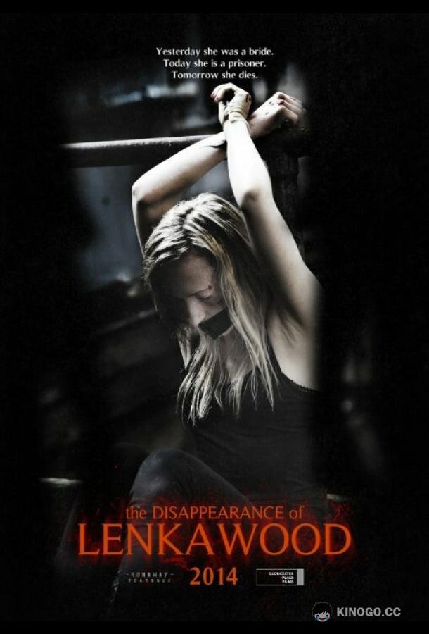 Исчезновение Ленки Вуд The Disappearance of Lenka Wood (2014)
