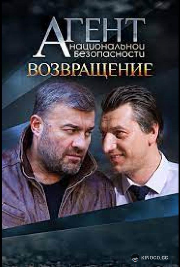 Агент национальной безопасности. Возвращение  (2019)