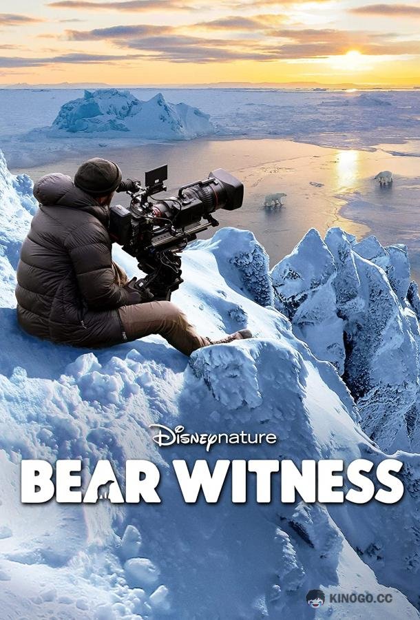 Наблюдение за медведем Bear Witness (2022)