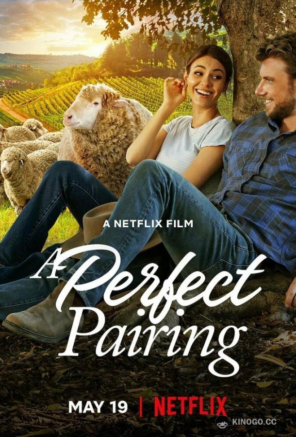 Идеальное сочетание A Perfect Pairing (2022)