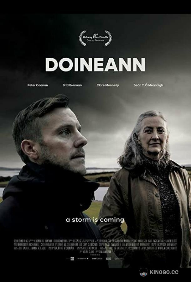 Шторм Doineann (2021)