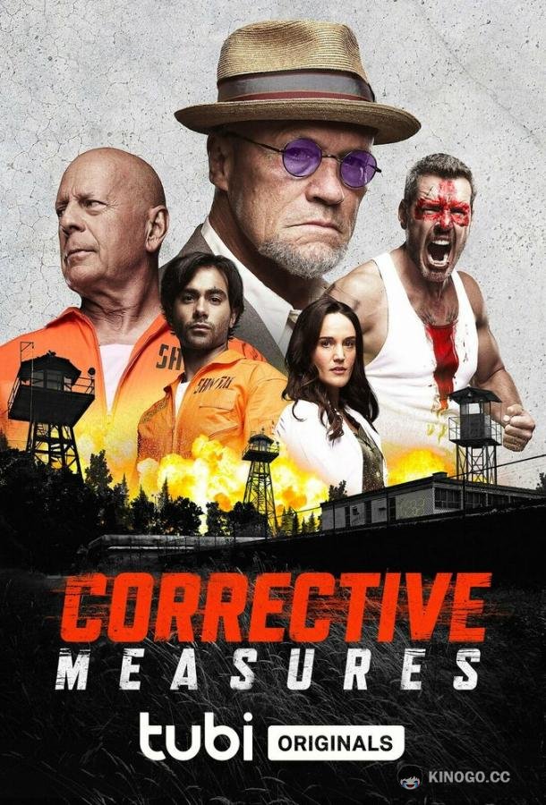 Корректирующие меры Corrective Measures (2022)