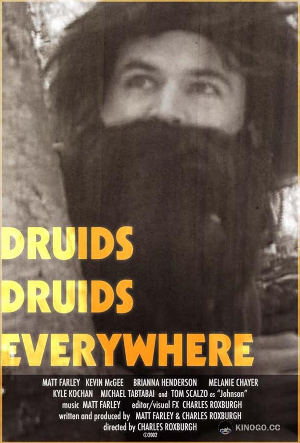 Друиды. Друиды повсюду Druids Druids Everywhere (2020)