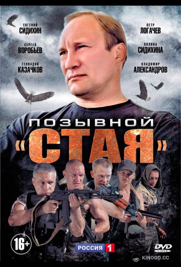 Позывной «Стая»  (2013)