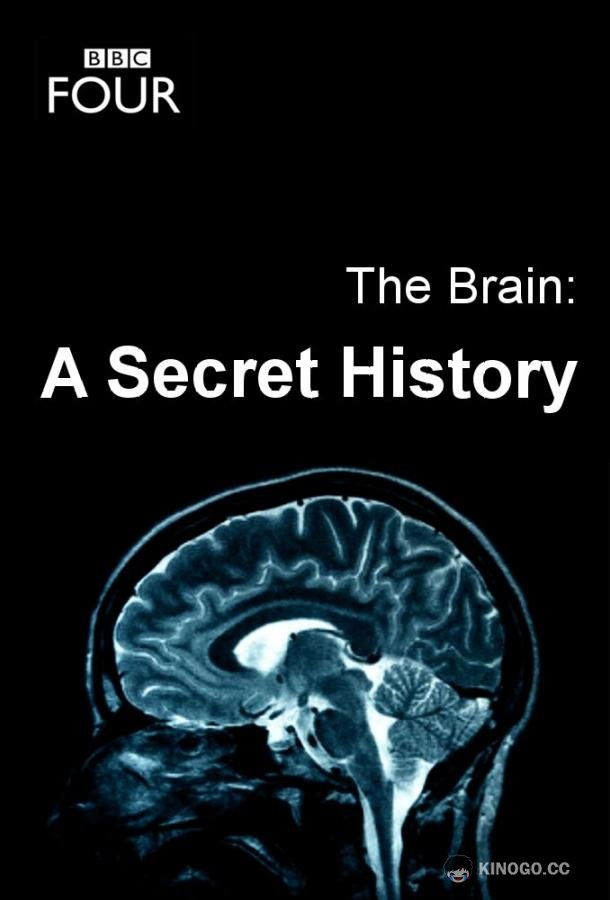 Мозг. Тайны сознания The Brain: A Secret History (2011)