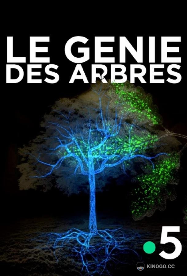 Деревья: гении мира природы Le génie des arbres (2020)