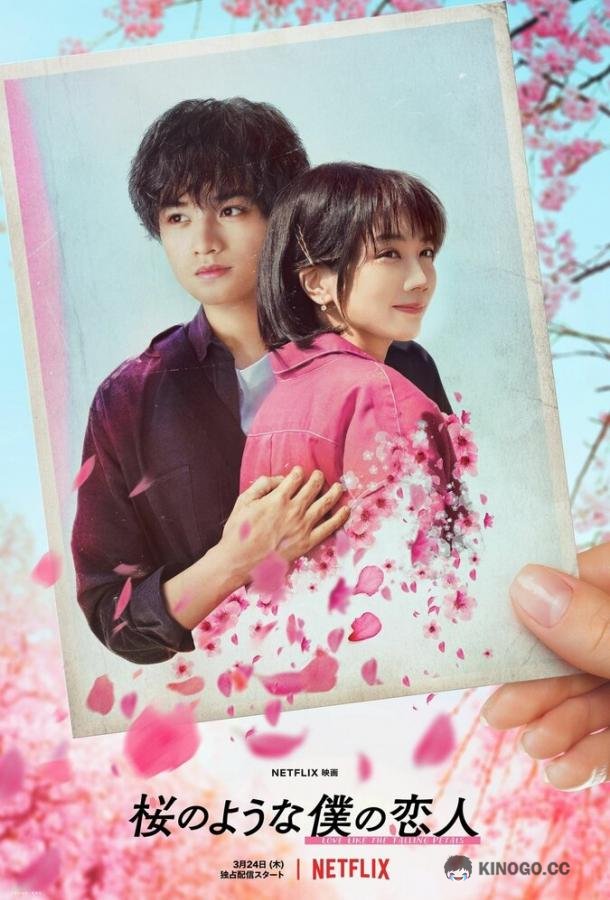 Моя любимая словно цветок сакуры Sakura no Yona Boku no Koibito (2022)