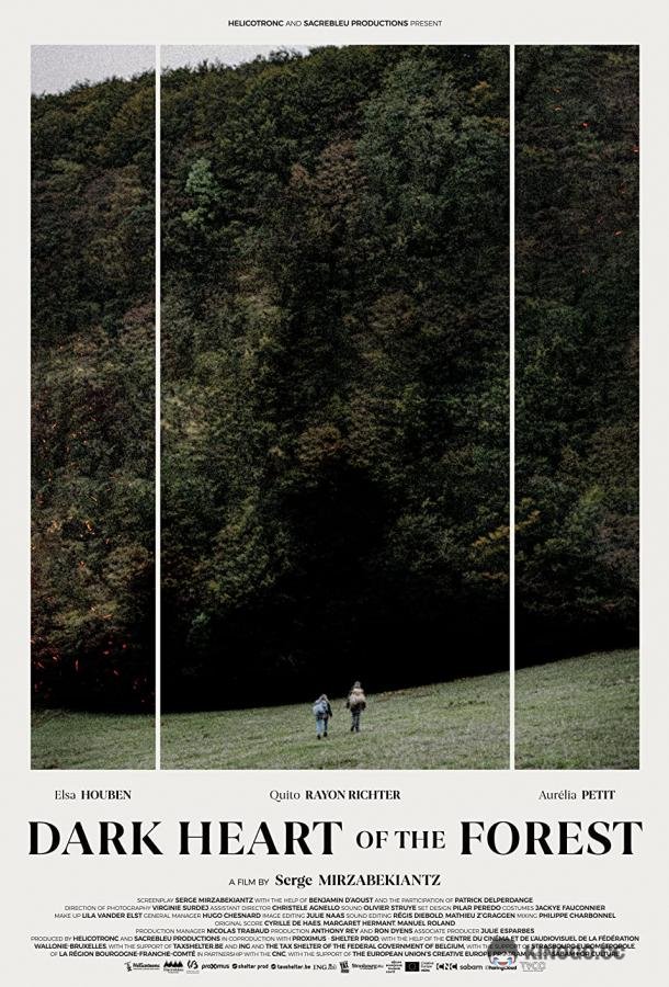 Темное сердце леса Le coeur noir des forêts (2021)