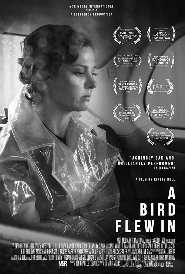 Залётная птица A Bird Flew In (2021)