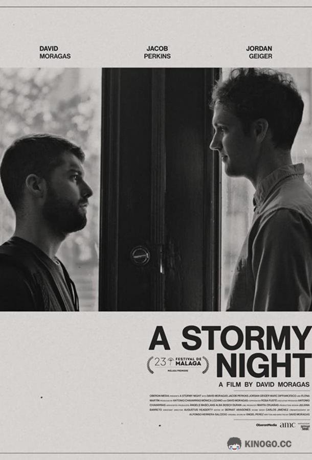 Бурная ночь A Stormy Night (2020)