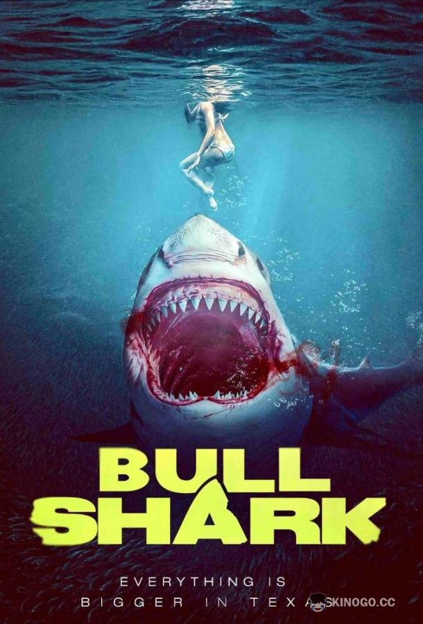 Бычья акула Bull Shark (2022)