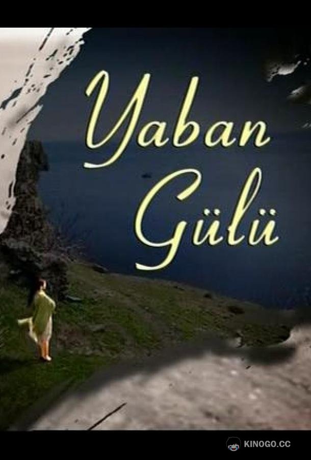 Дикая роза Yaban Gülü (2008)