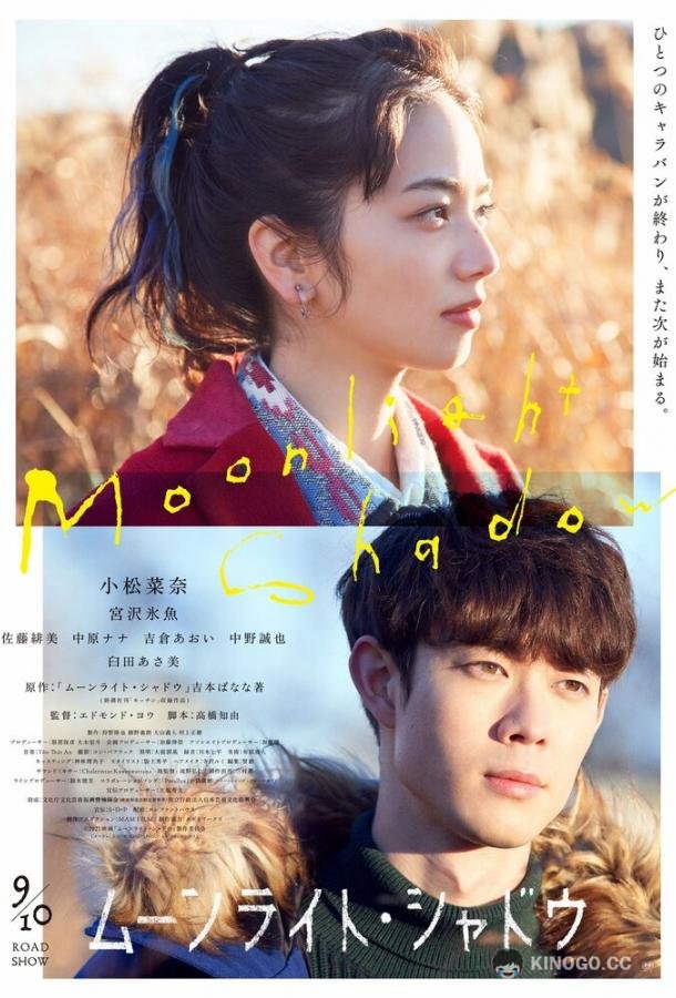 Лунная тень Moonlight Shadow (2021)