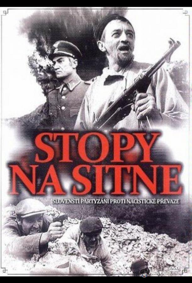 Следы ведут в пропасть Stopy na Sitne (1968)