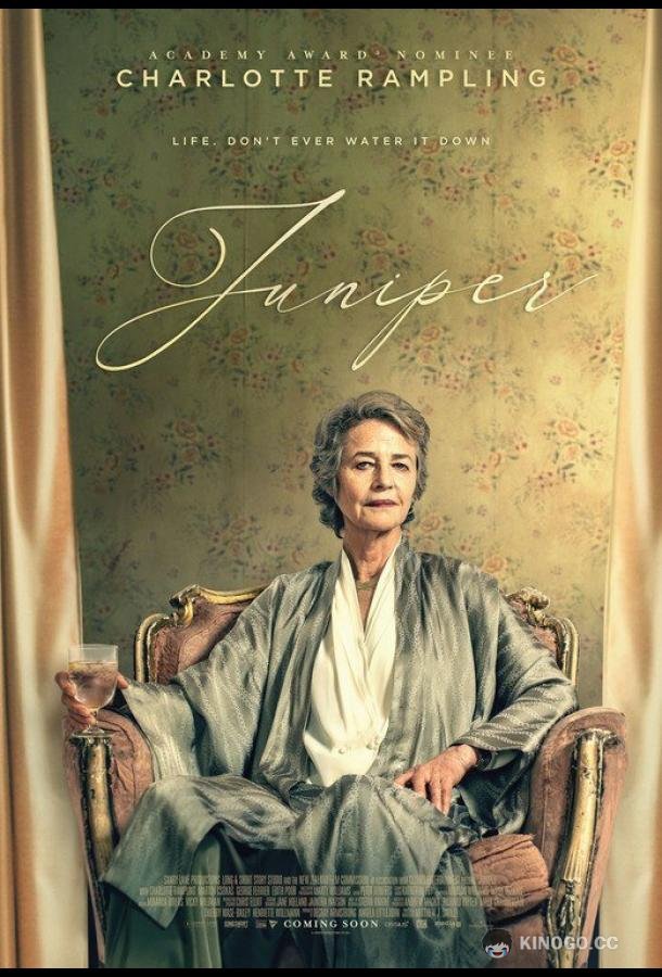 Можжевельник Juniper (2021)