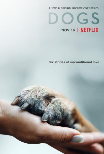 Собаки Dogs (2018)
