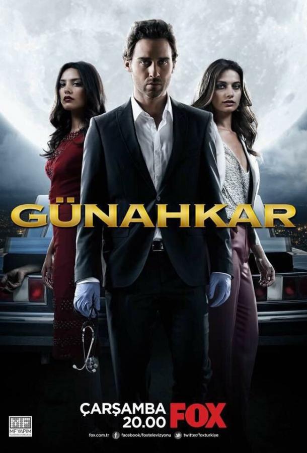 Грешник Günahkar (2014)