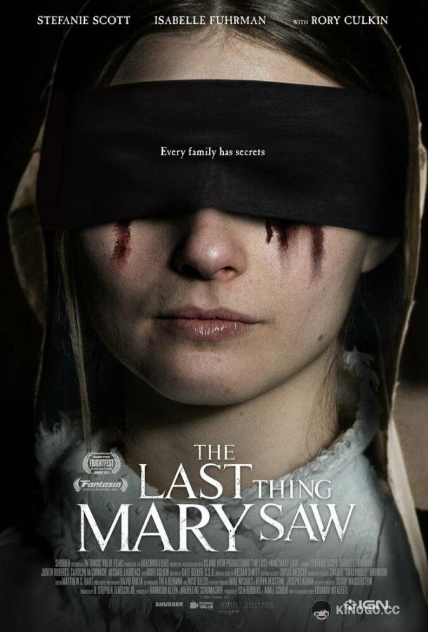 Последнее, что видела Мэри The Last Thing Mary Saw (2021)